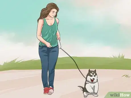 Image titled Train Your Dog from Running out of Your House Step 13