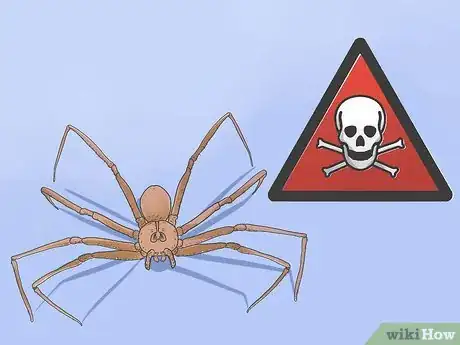 Image titled Get Rid of Black Widow Spiders Step 4