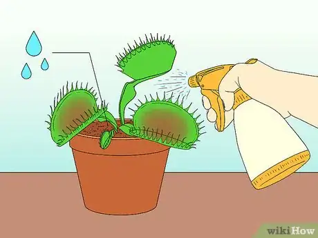 Image titled Care for Venus Fly Traps Step 14