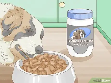 Image titled Get a Dog to Eat Step 13