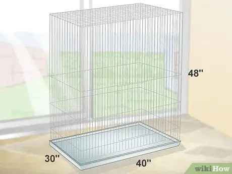 Image titled Take Care of Cockatoos Step 1