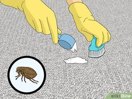 Image titled Use Borax Around the House Step 11