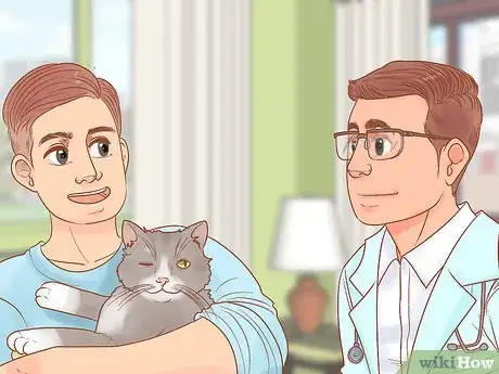 Image titled Protect Your Cat's Eyes Step 1