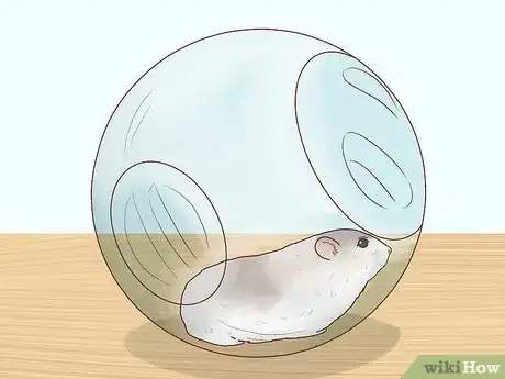 Image titled Care for Winter White Dwarf Hamsters Step 16