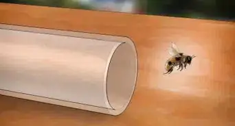 Catch a Bee Without Getting Stung