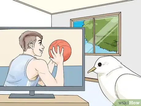 Image titled Keep Doves Entertained Step 7