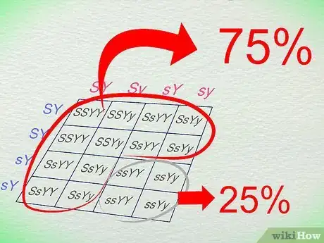 Image titled Work With Punnett Squares Step 16