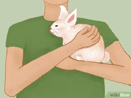 Image titled Take Care of a Pregnant Rabbit Step 7