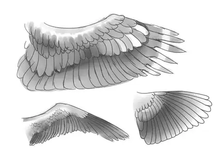 Image titled Eaglewing5.png