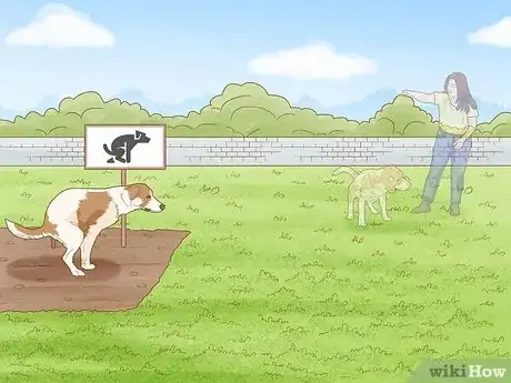 Image titled Stop Dog Pee from Killing Grass Step 10