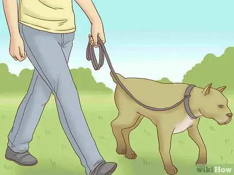 Image titled Get Your Dog to Stop Play Biting Step 7