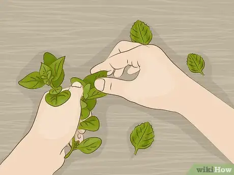 Image titled Use Oregano in Cooking Step 2