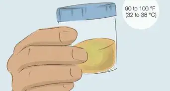 Store Urine for a Drug Test