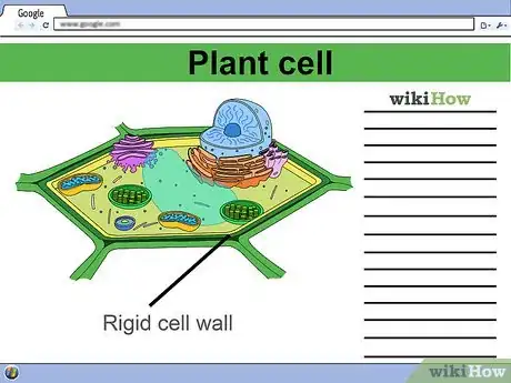 Image titled Make a Model Cell Step 2