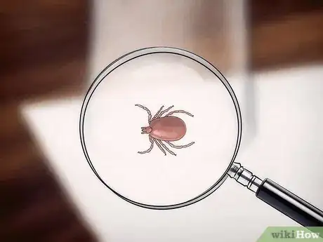 Image titled Kill Ticks Without Burning Them Step 5