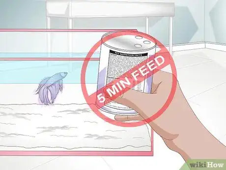 Image titled Feed a Betta Fish Step 11