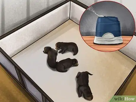 Image titled Save Orphaned Newborn Puppies Step 9