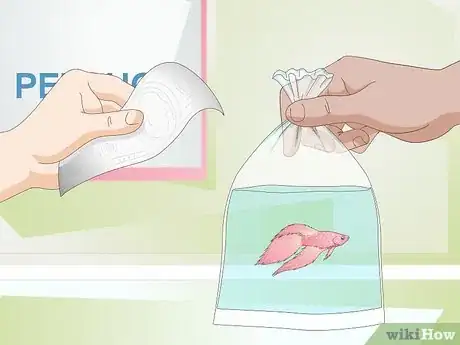 Image titled Set Up a Betta Tank Step 14