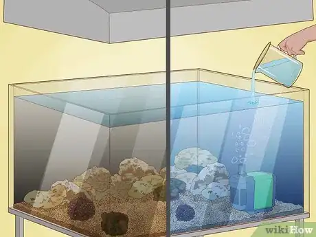 Image titled Grow Coral in an Aquarium Step 18