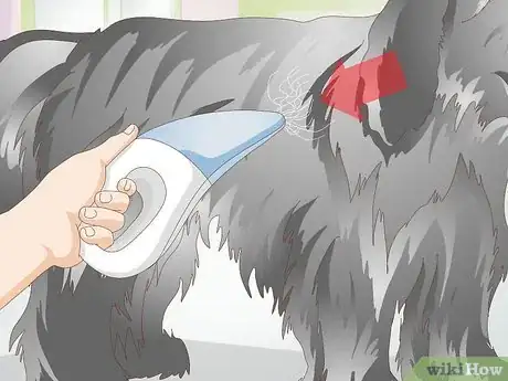 Image titled Brush Your Dog Step 9