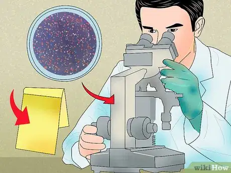 Image titled Measure Bacterial Growth Step 4