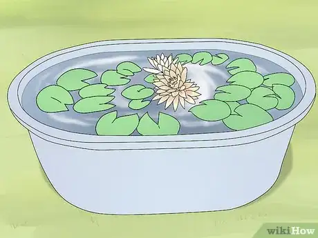 Image titled Grow Water Lilies Step 1