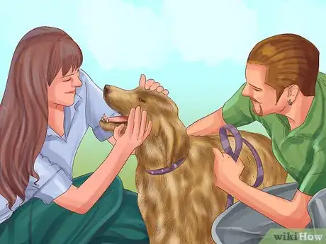 Image titled Be a Responsible Dog Owner Step 15