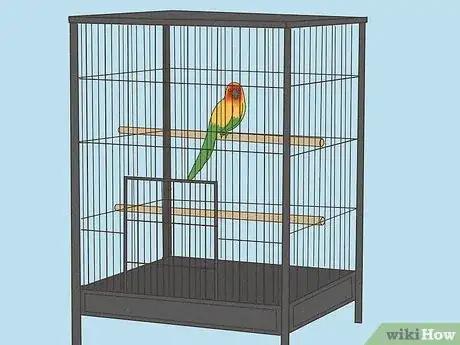 Image titled Teach a Conure to Talk Step 8