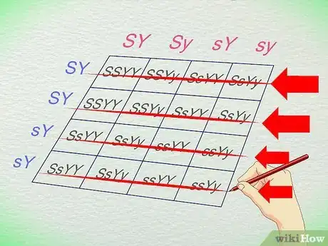 Image titled Work With Punnett Squares Step 15