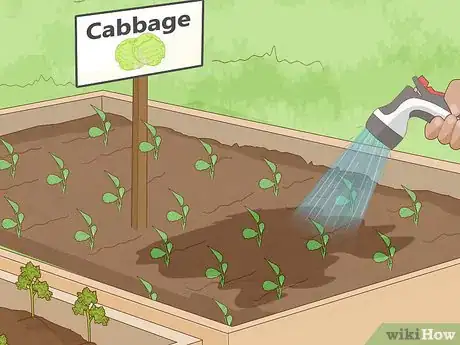 Image titled Start an Organic Vegetable Garden Step 13