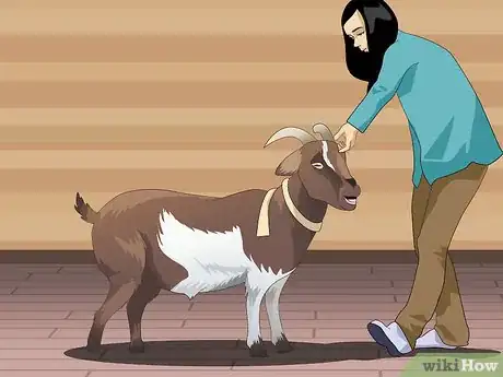 Image titled Show a Goat in 4H Step 11