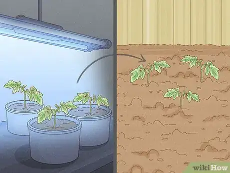 Image titled Grow Vegetables With Grow Lights Step 10