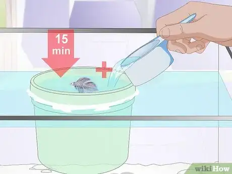 Image titled Acclimate Your Betta Step 11