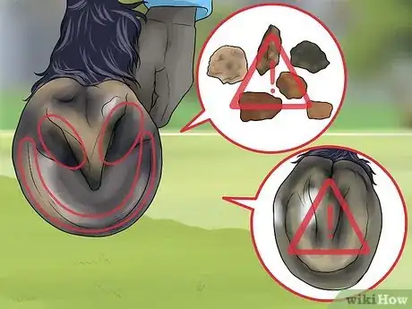 Image titled Pick a Horse Hoof Step 10