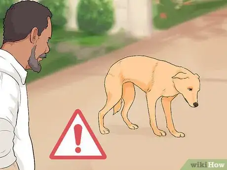 Image titled Tell if a Dog Is Going to Attack Step 10