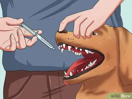 Image titled Get Your Dog to Swallow a Pill Step 7