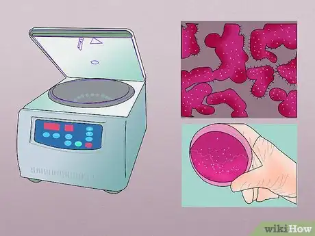 Image titled Measure Bacterial Growth Step 9