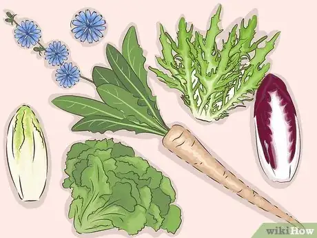 Image titled Eat Chicory Step 1