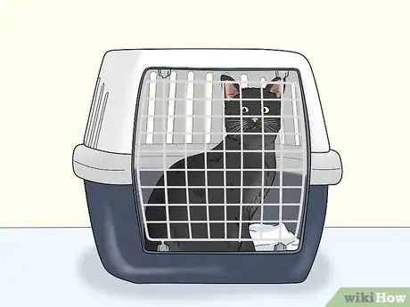 Image titled Travel Train Your Cat Step 10