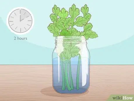 Image titled Grow Parsley from Cuttings Step 4