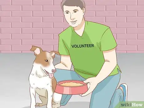 Image titled Start an Animal Shelter Step 11