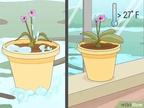 Image titled Revive an Orchid Plant Step 9