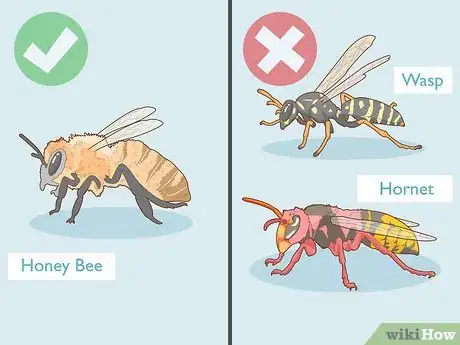 Image titled Remove Bees Step 4