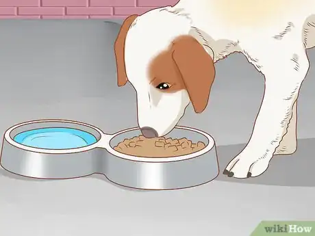 Image titled Treat Your Dog Step 1