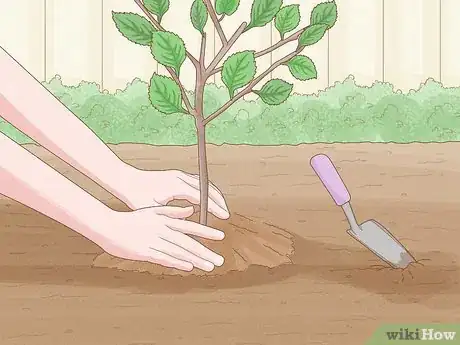 Image titled Save Trees Step 10