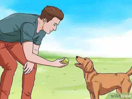 Image titled Teach a Dog to Fetch Step 4