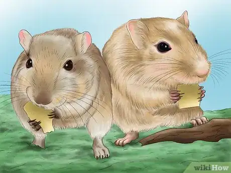 Image titled Make Your Gerbil Happy Step 1