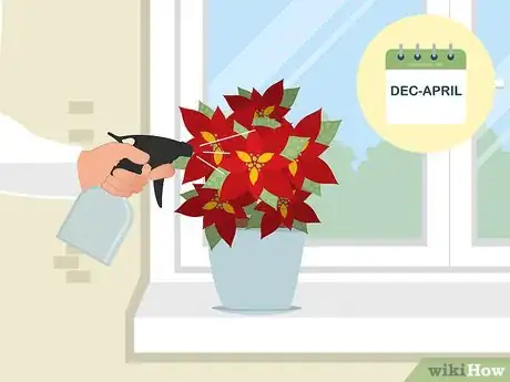 Image titled Care for Poinsettias Step 12