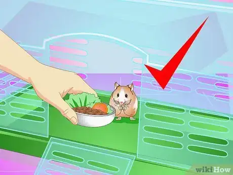 Image titled Make Your Hamster Live Longer Step 4