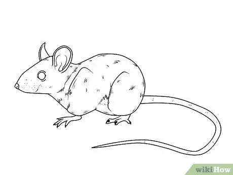 Image titled Draw a Mouse Step 14